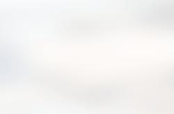 5年1.4亿美(měi)金！穆雷提前续约，布劳恩把话挑明，NBA抢断王太难了