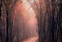 犹他爵士队以特别補(bǔ)丁致敬(jìng)传奇教练弗兰克·莱登，传承球队精神