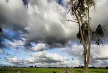 犹他爵士队2025-26賽(sài)季预测：能否在低谷中重(zhòng)生？