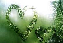 湖人奪(duó)太平洋赛区冠(guān)军！正式晋级季后赛：东詹再次率队冲击总冠(guān)军