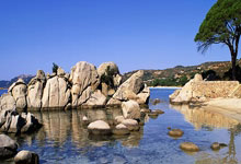 凯尔特人遭遇NBA赛程调整：29场全国直播被削減(jiǎn)的背后