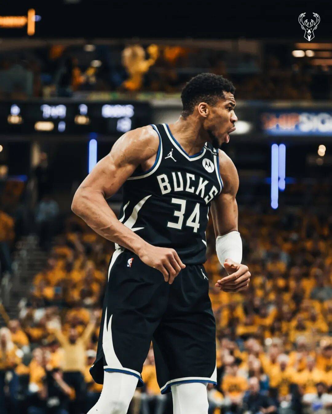 雄鹿尼克斯曾讨论字母哥交易！雄鹿对字母哥也是够可以了！