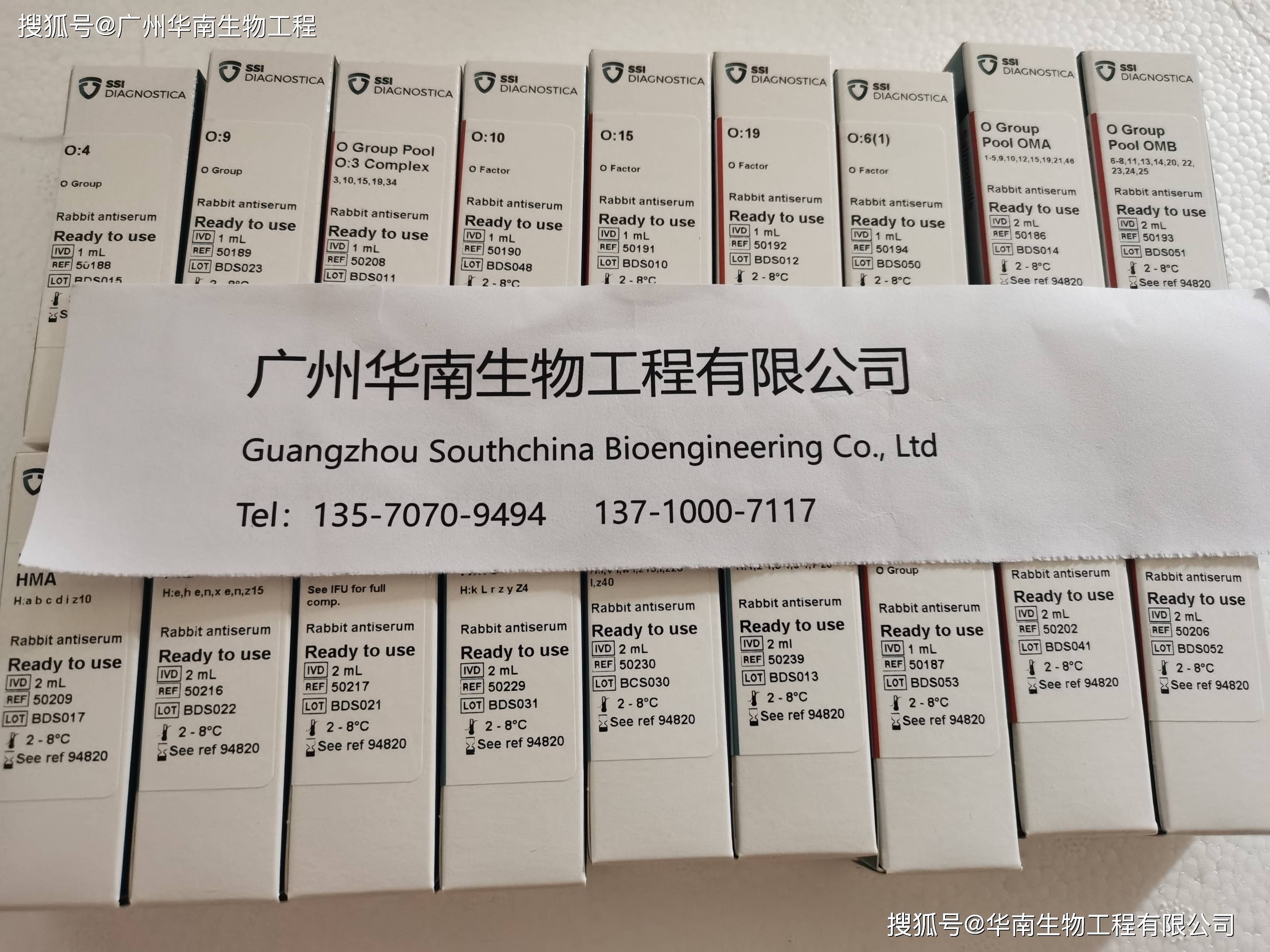 丹麦ssi中国官网中文版